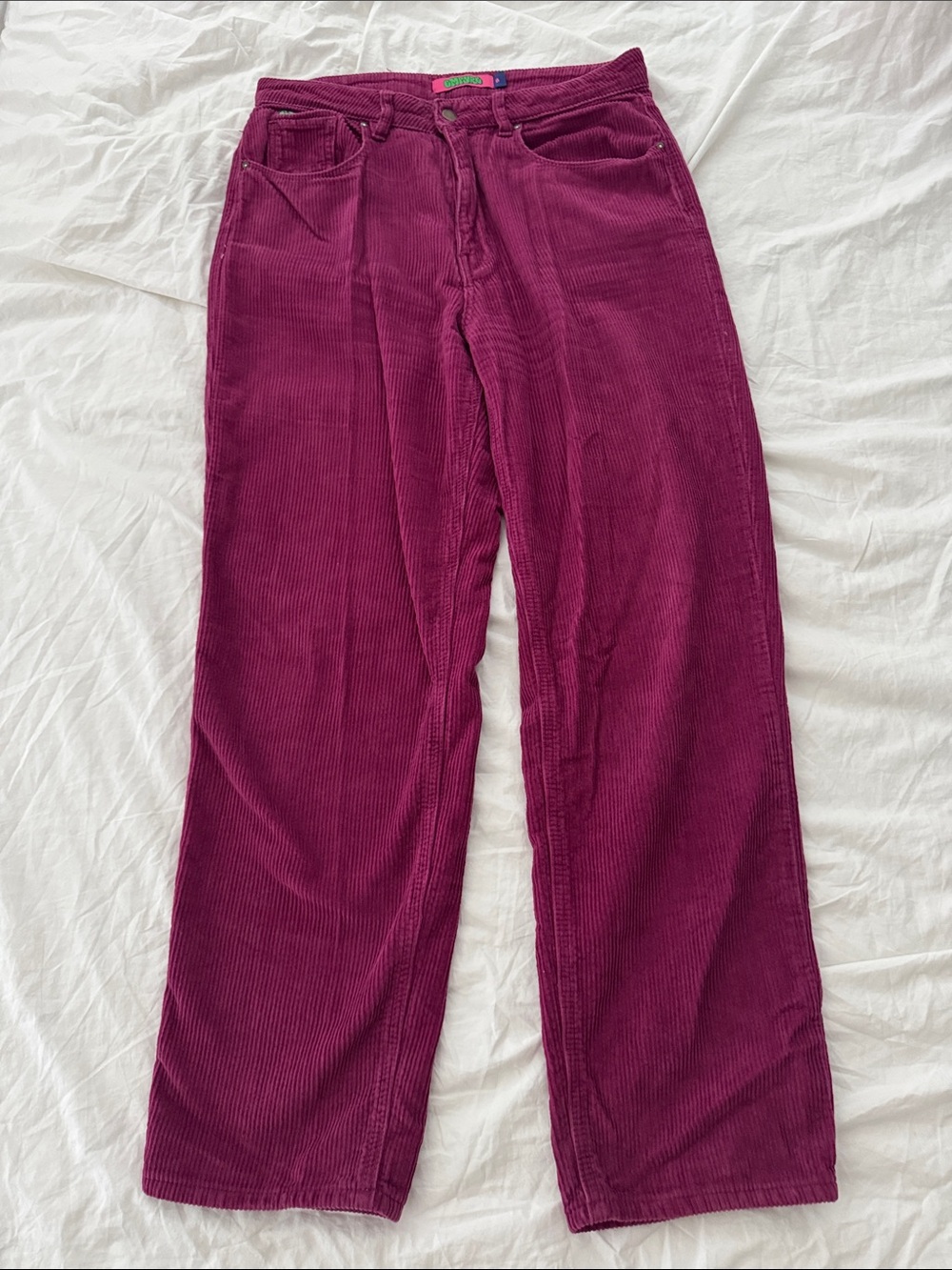 Empyre Corduroy Pants in Berry